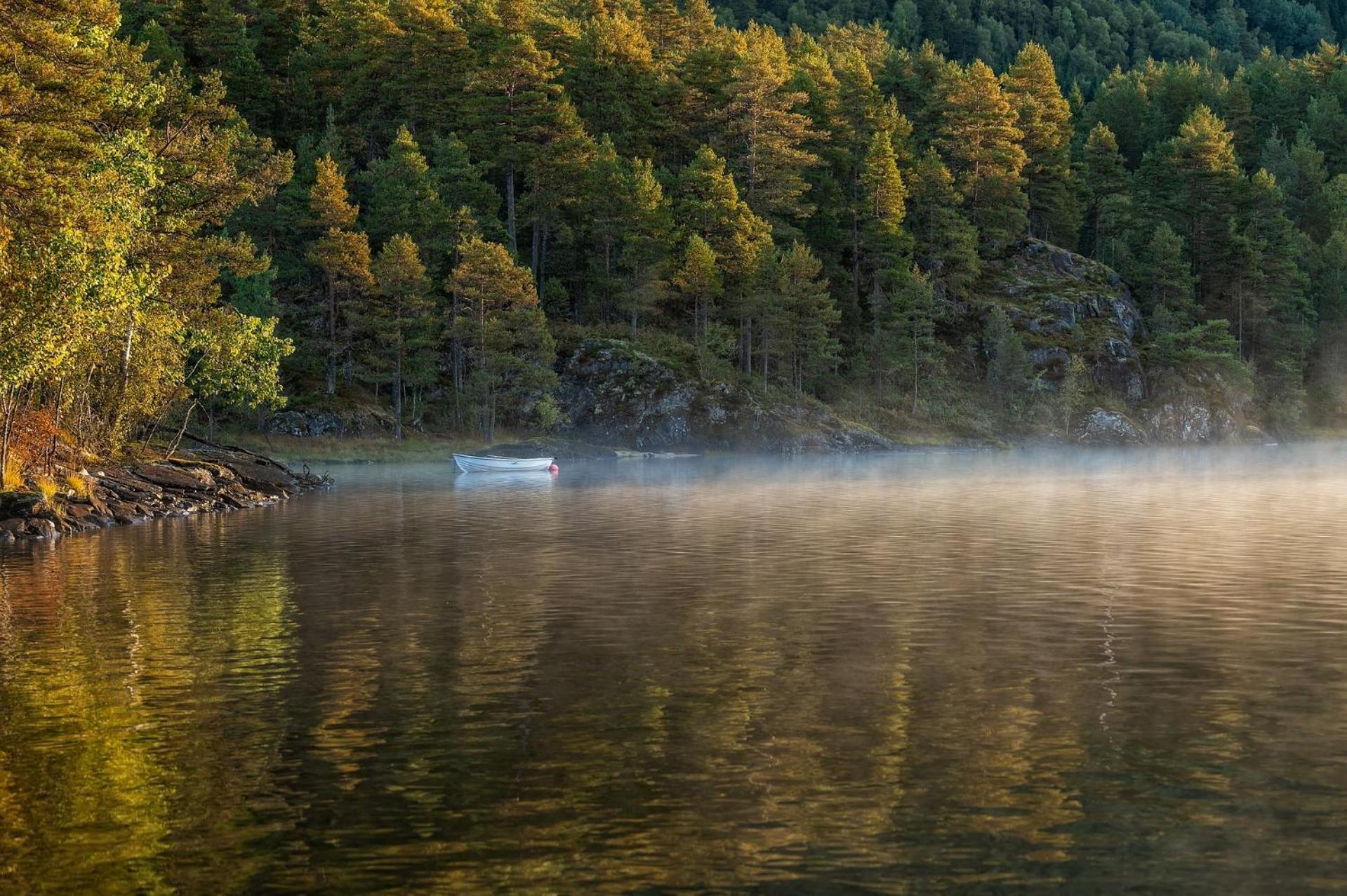 Suita Beli Labod Medvode Exterior foto