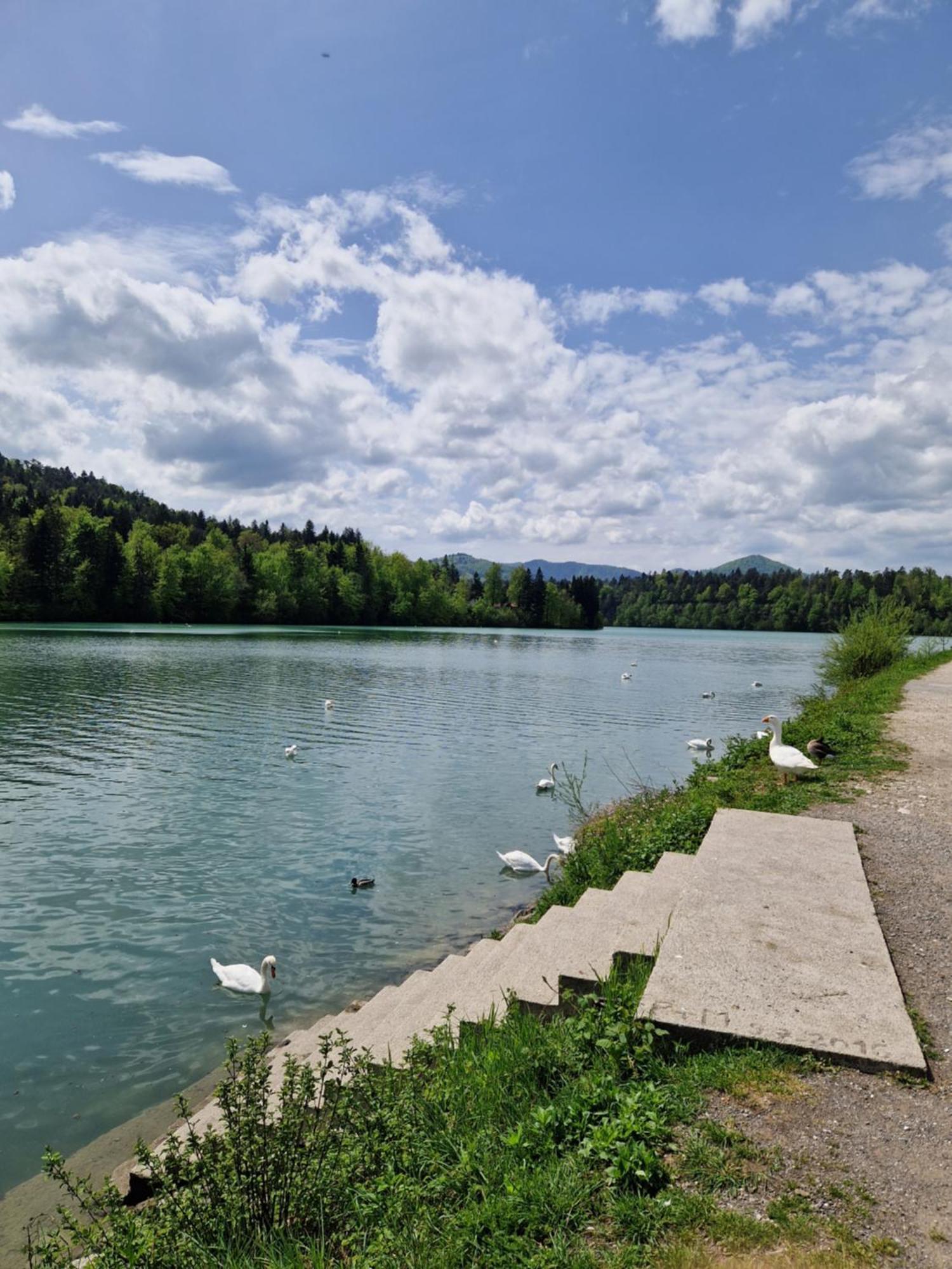 Suita Beli Labod Medvode Exterior foto